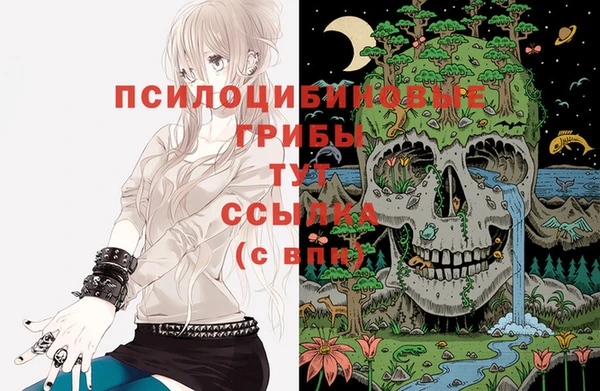 стафф Бронницы