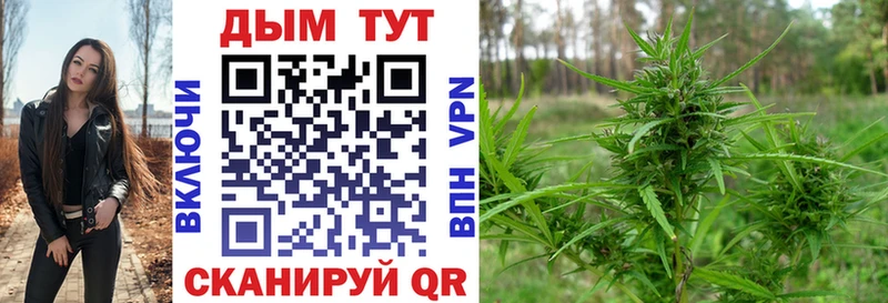 Купить  Нерехта  Конопля MAZAR 